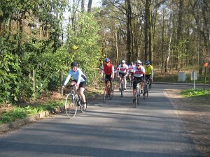 Bild 097
